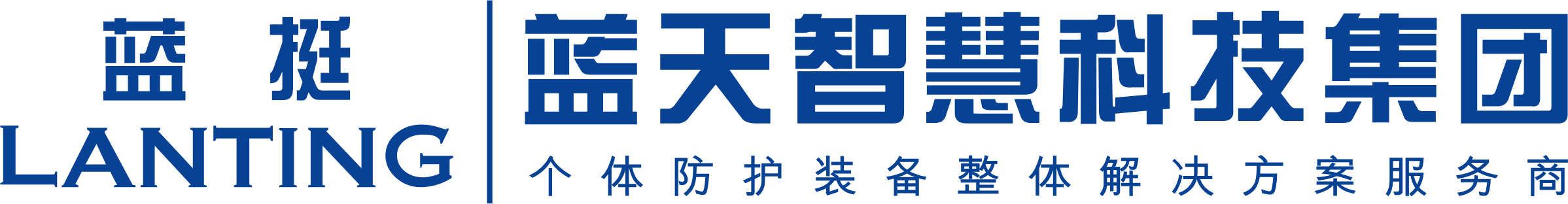 蓝天智慧科技集团有限公司